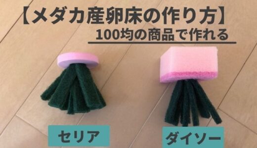 メダカ産卵床の作り方 ダイソーじゃなくてセリアがおすすめ ラテのブログ